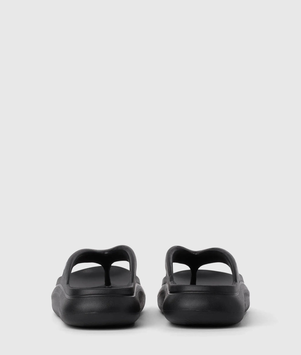 Skoona II slides